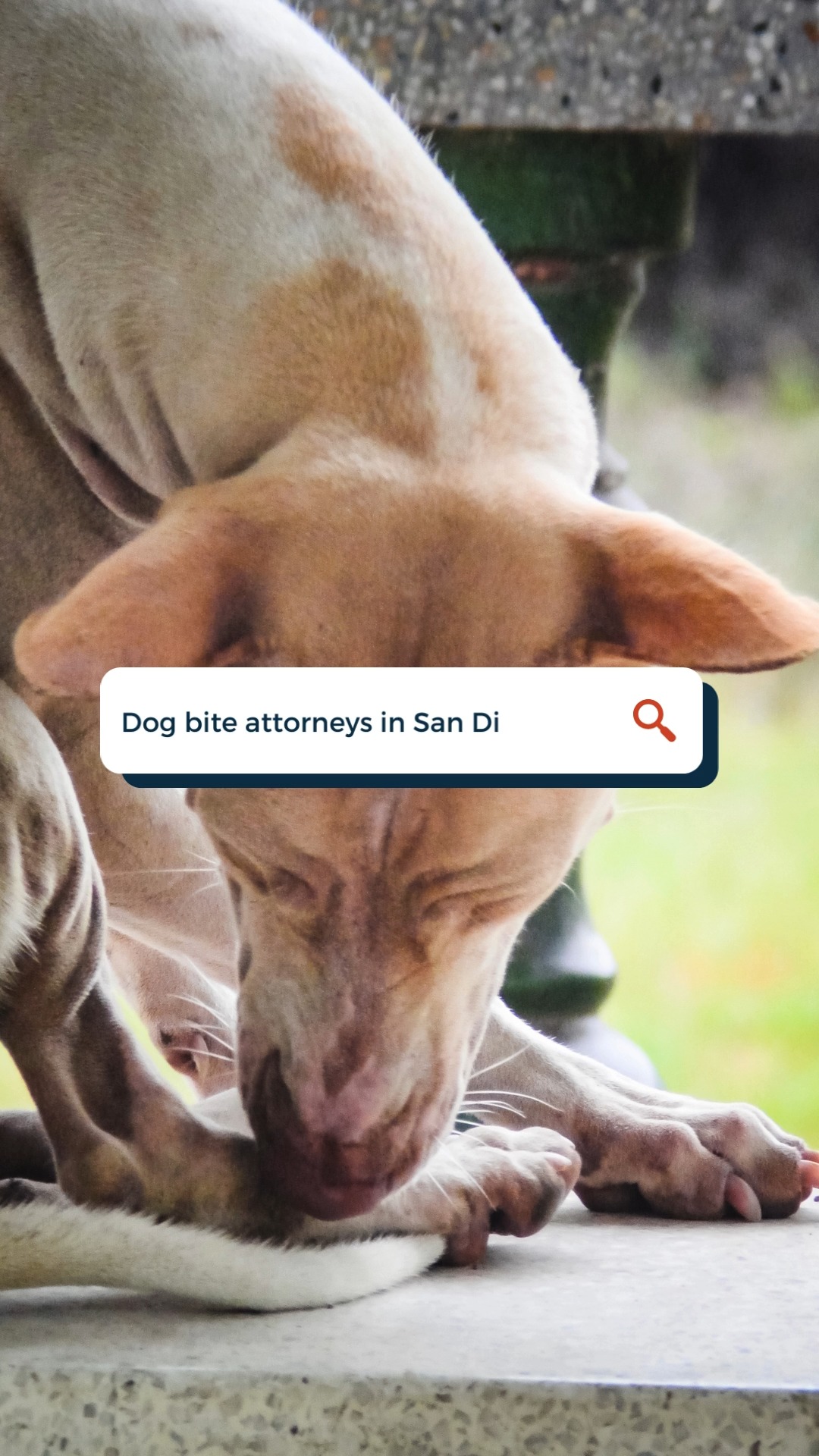 What Should I Do if I’m Arrested for Transporting an Undocumented Person into the United States?
