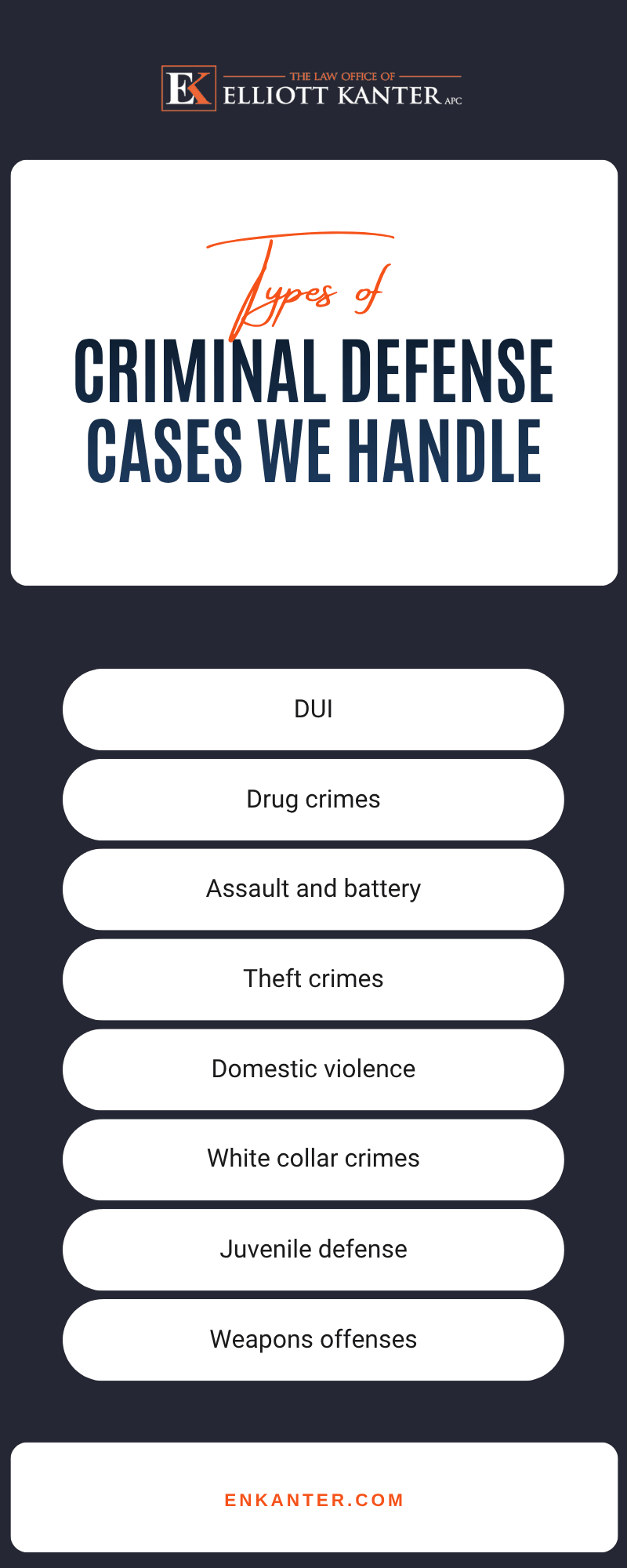 Criminal Defense Cases We Handle Infographic